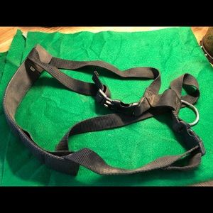 Dog harness